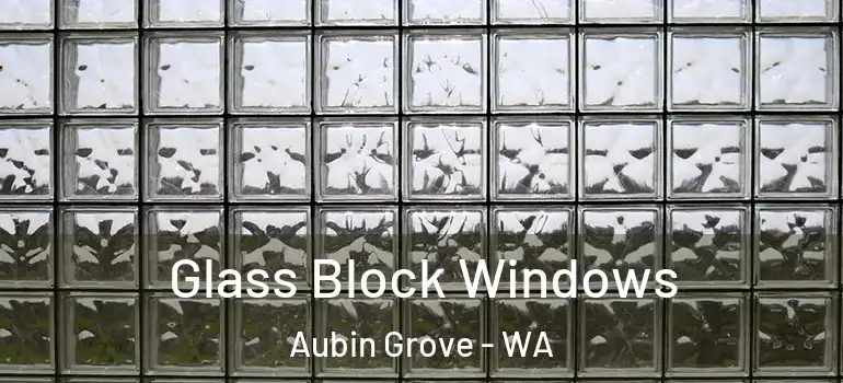 Glass Block Windows Aubin Grove - WA