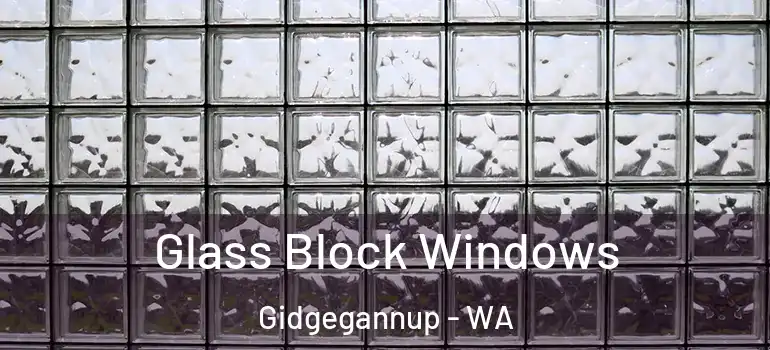  Glass Block Windows Gidgegannup - WA