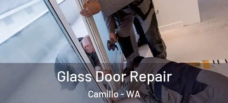  Glass Door Repair Camillo - WA
