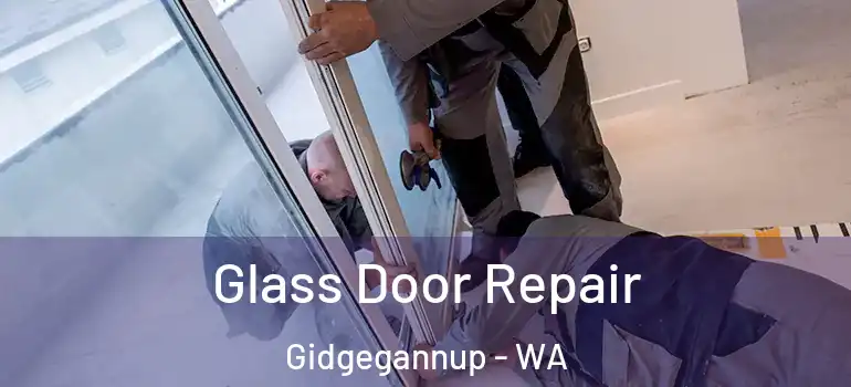 Glass Door Repair Gidgegannup - WA
