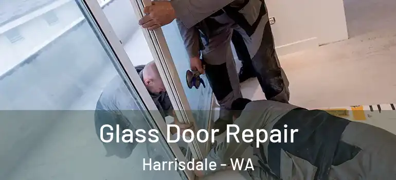 Glass Door Repair Harrisdale - WA