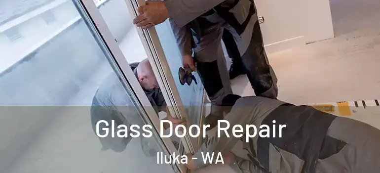 Glass Door Repair Iluka - WA