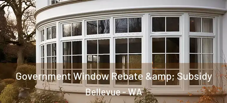  Government Window Rebate & Subsidy Bellevue - WA