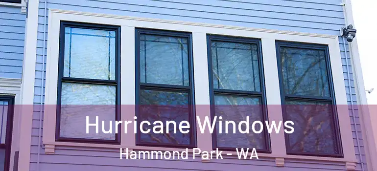  Hurricane Windows Hammond Park - WA