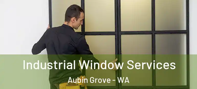 Industrial Window Services Aubin Grove - WA