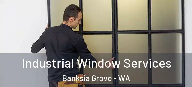 Industrial Window Services Banksia Grove - WA