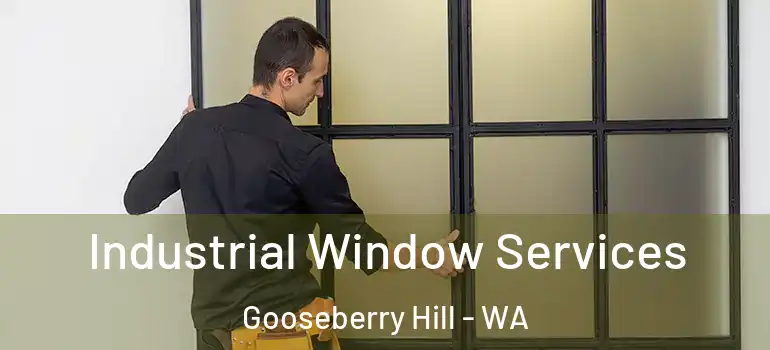 Industrial Window Services Gooseberry Hill - WA
