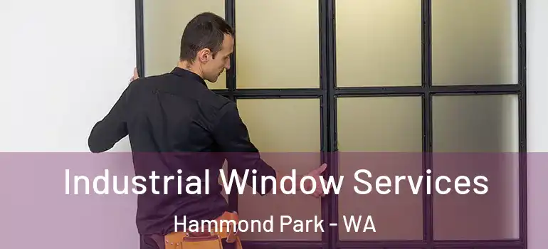 Industrial Window Services Hammond Park - WA