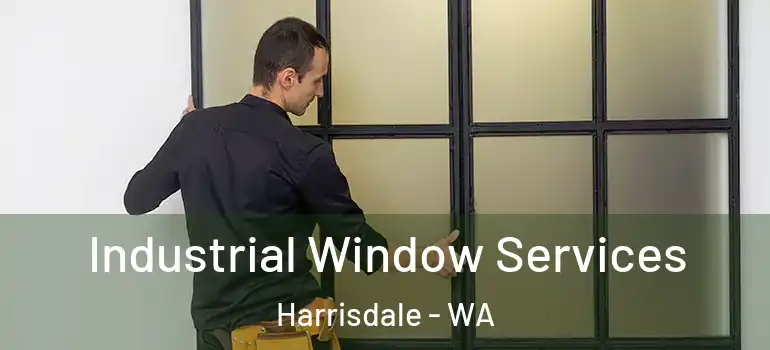 Industrial Window Services Harrisdale - WA