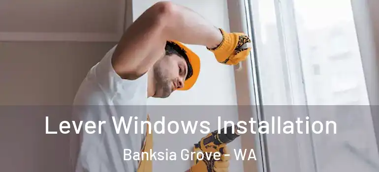  Lever Windows Installation Banksia Grove - WA