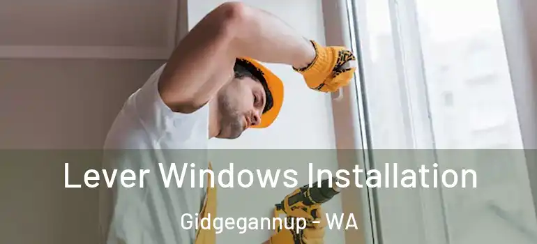 Lever Windows Installation Gidgegannup - WA