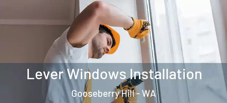Lever Windows Installation Gooseberry Hill - WA