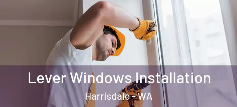 Lever Windows Installation Harrisdale - WA