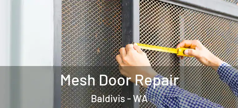  Mesh Door Repair Baldivis - WA
