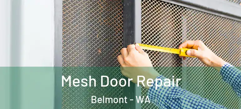 Mesh Door Repair Belmont - WA