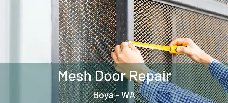 Mesh Door Repair Boya - WA