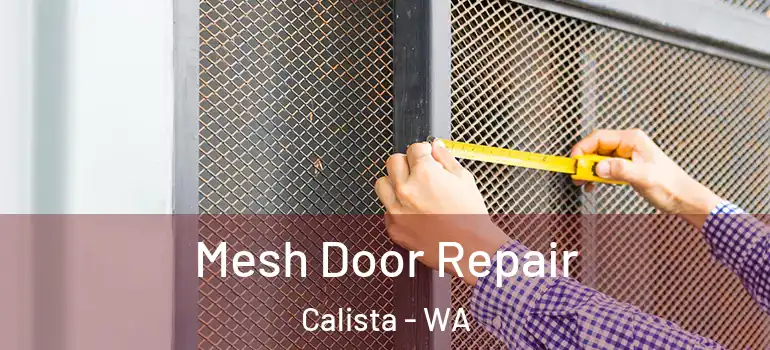  Mesh Door Repair Calista - WA