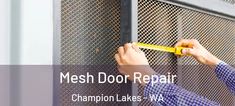 Mesh Door Repair Champion Lakes - WA