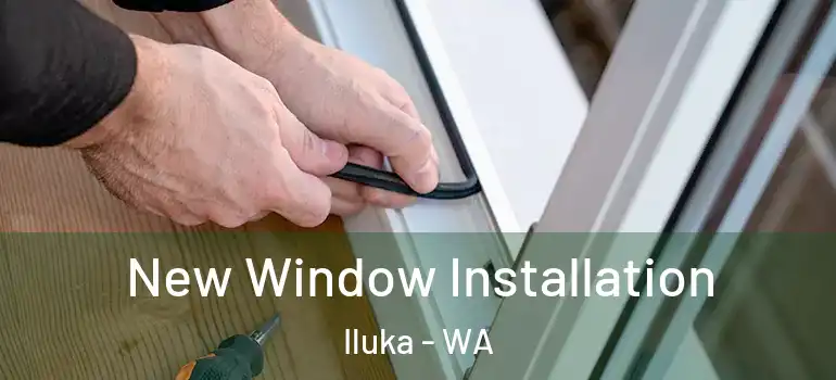  New Window Installation Iluka - WA