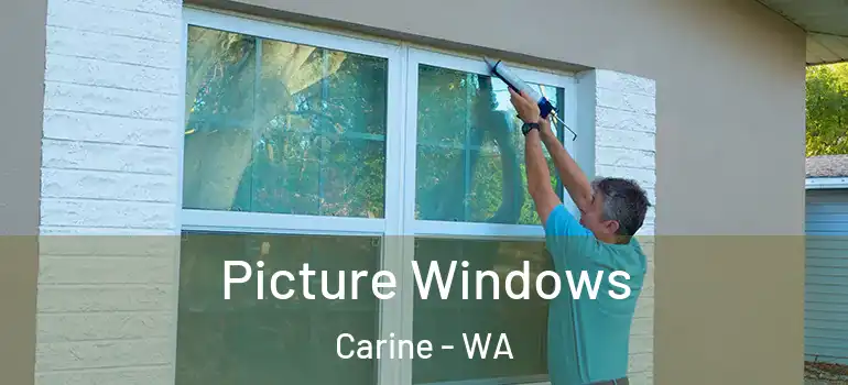 Picture Windows Carine - WA