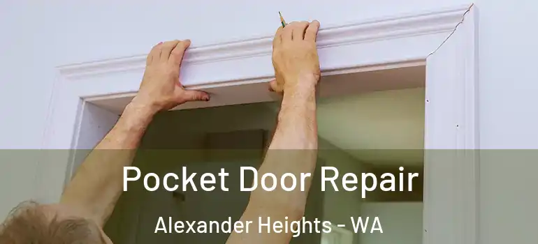  Pocket Door Repair Alexander Heights - WA