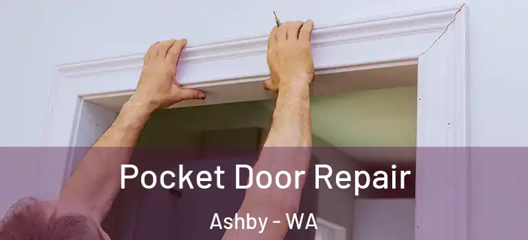 Pocket Door Repair Ashby - WA