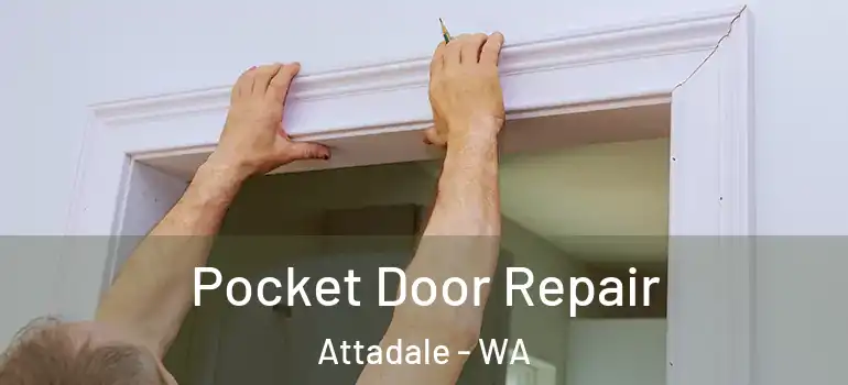 Pocket Door Repair Attadale - WA
