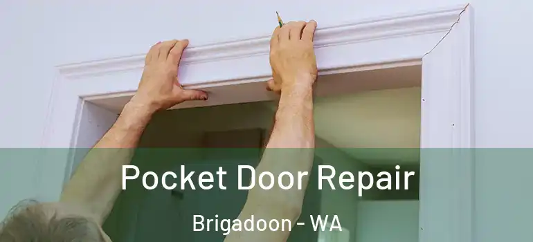 Pocket Door Repair Brigadoon - WA