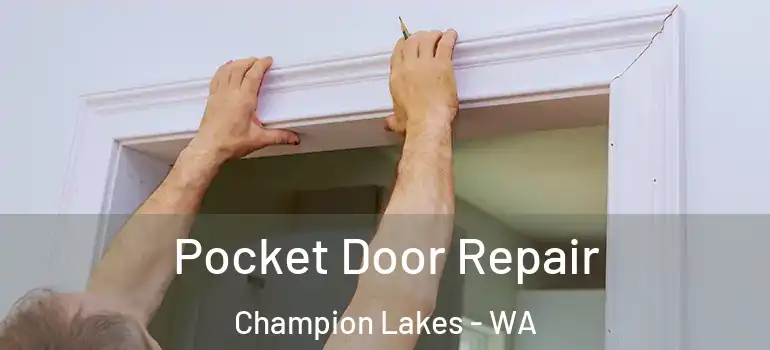 Pocket Door Repair Champion Lakes - WA