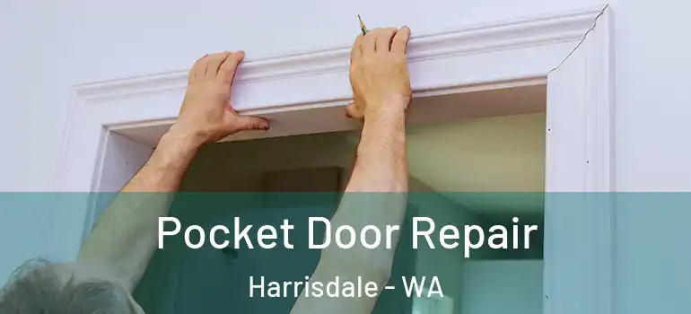 Pocket Door Repair Harrisdale - WA