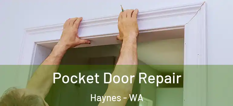 Pocket Door Repair Haynes - WA