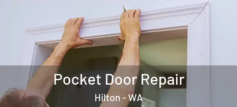  Pocket Door Repair Hilton - WA