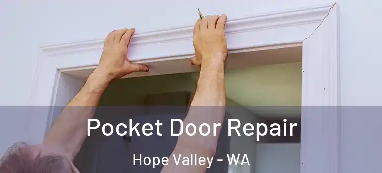 Pocket Door Repair Hope Valley - WA