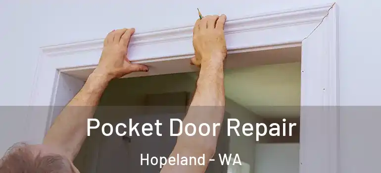 Pocket Door Repair Hopeland - WA