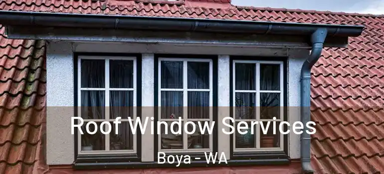 Roof Window Services Boya - WA