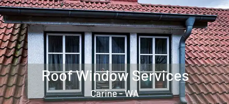 Roof Window Services Carine - WA