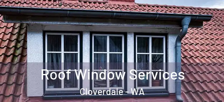 Roof Window Services Cloverdale - WA