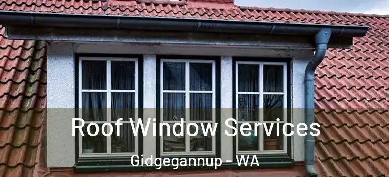 Roof Window Services Gidgegannup - WA