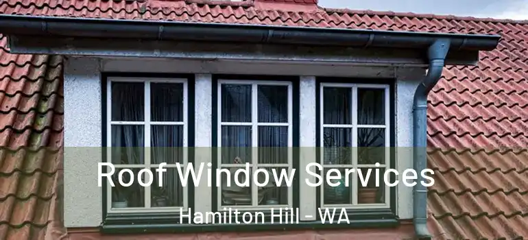  Roof Window Services Hamilton Hill - WA