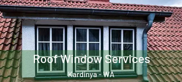 Roof Window Services Kardinya - WA