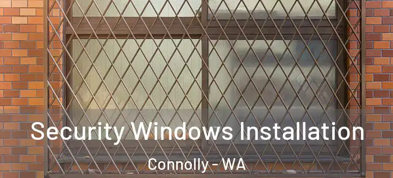  Security Windows Installation Connolly - WA