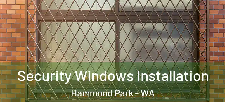  Security Windows Installation Hammond Park - WA