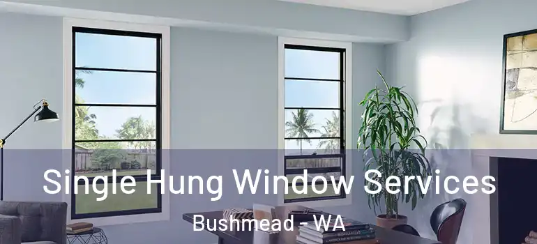 Single Hung Window Services Bushmead - WA
