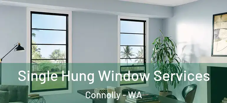  Single Hung Window Services Connolly - WA