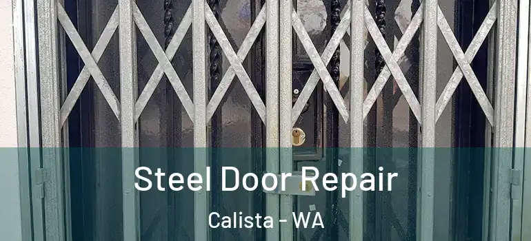 Steel Door Repair Calista - WA