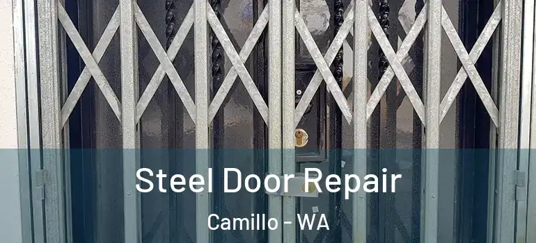 Steel Door Repair Camillo - WA