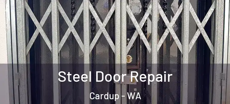 Steel Door Repair Cardup - WA