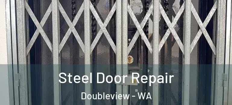  Steel Door Repair Doubleview - WA