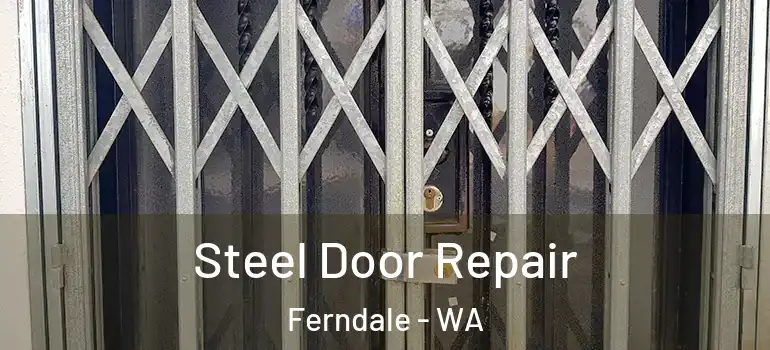 Steel Door Repair Ferndale - WA