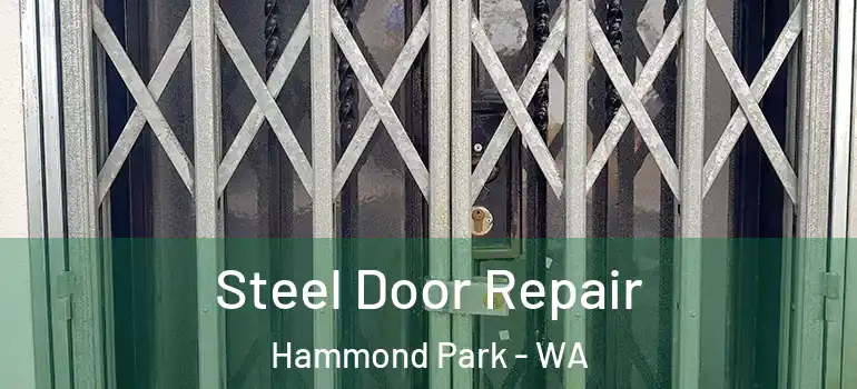 Steel Door Repair Hammond Park - WA
